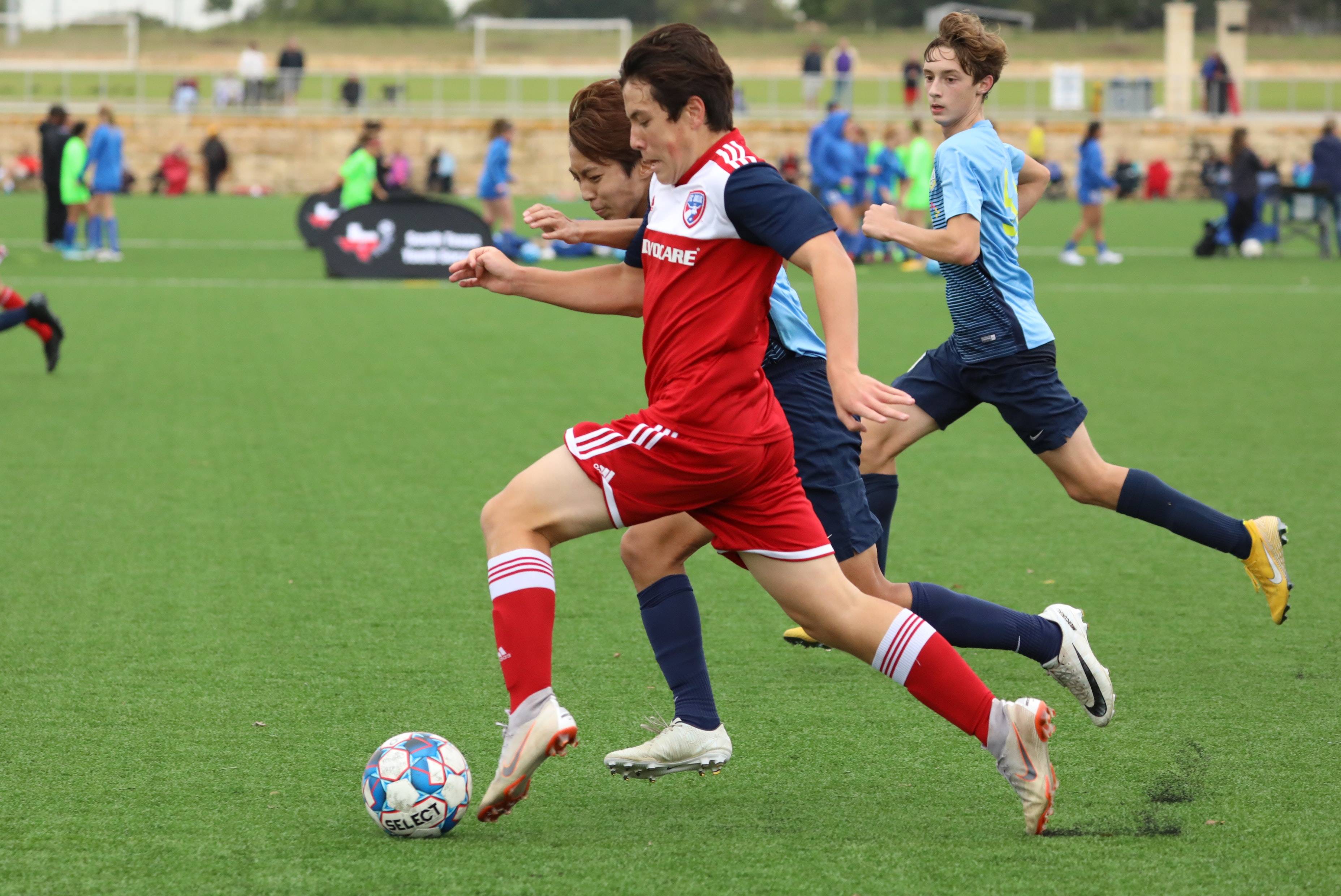 希尔德连续 希尔德连续