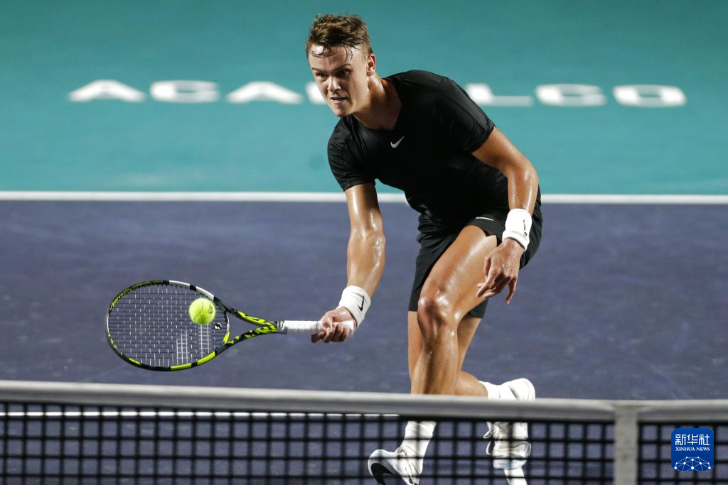 霍芬海姆的 霍芬海姆的