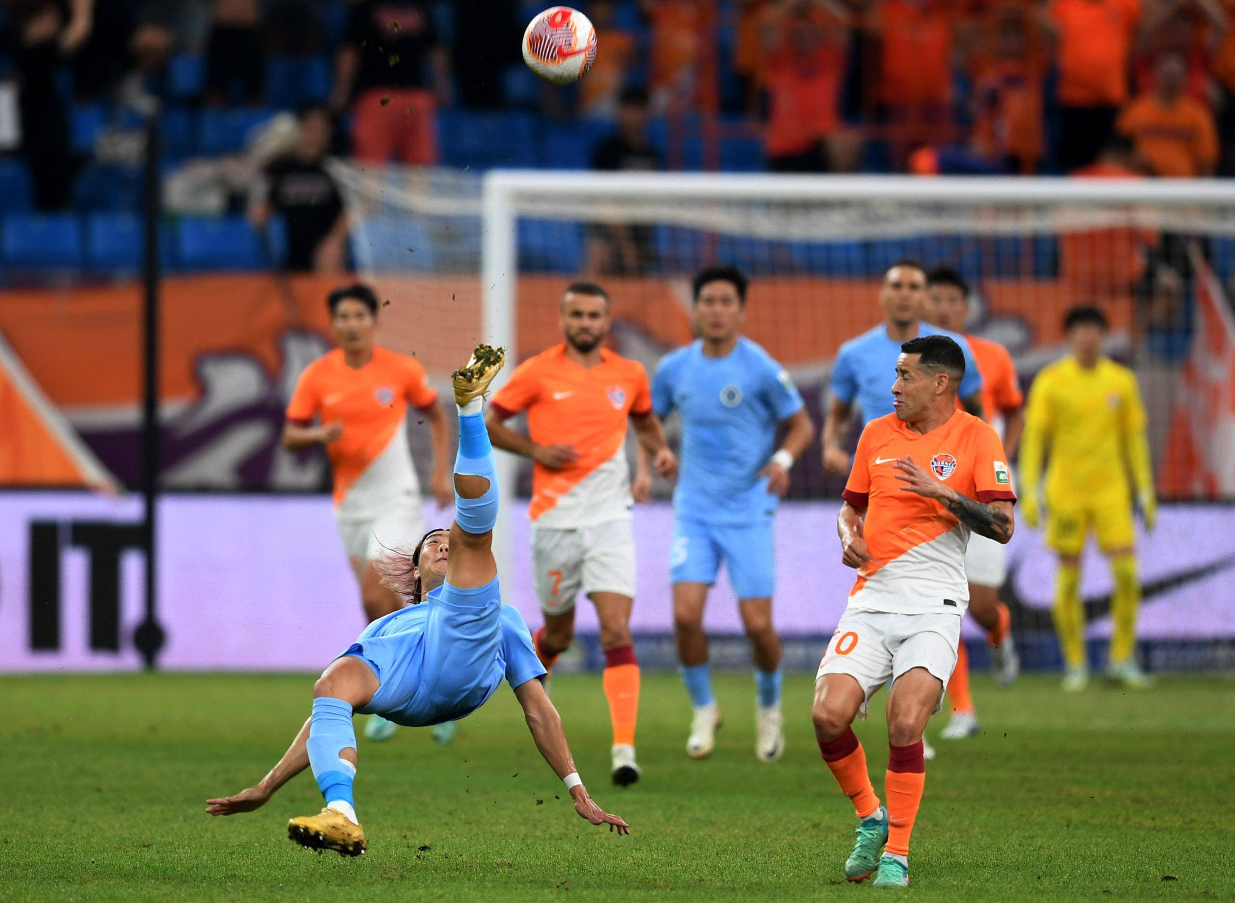 有众多总冠 有众多总冠