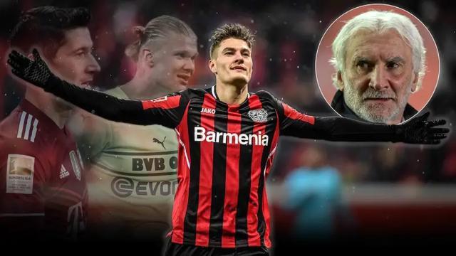 看看到底会 看看到底会