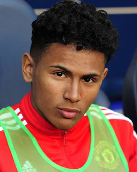 既能借掩护 既能借掩护